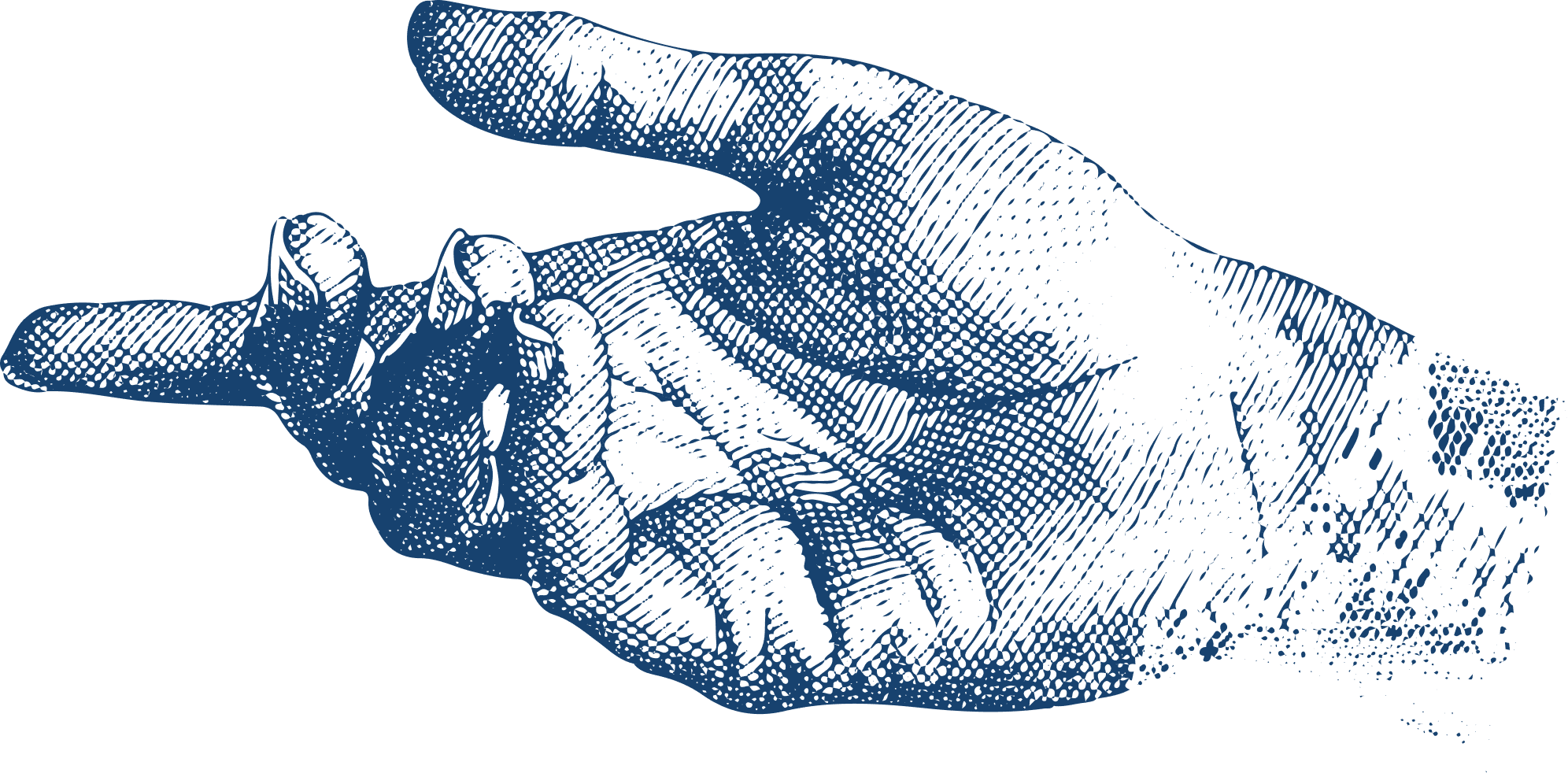 Hand illustration